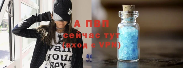 PSILOCYBIN Новодвинск
