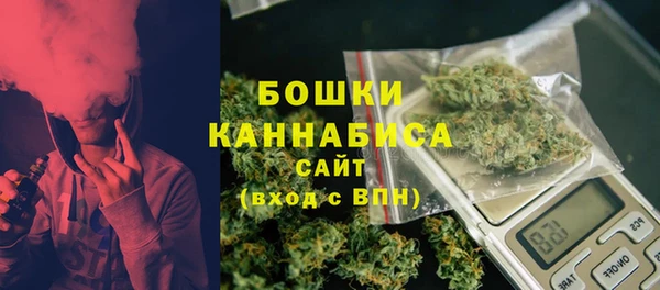 PSILOCYBIN Новодвинск